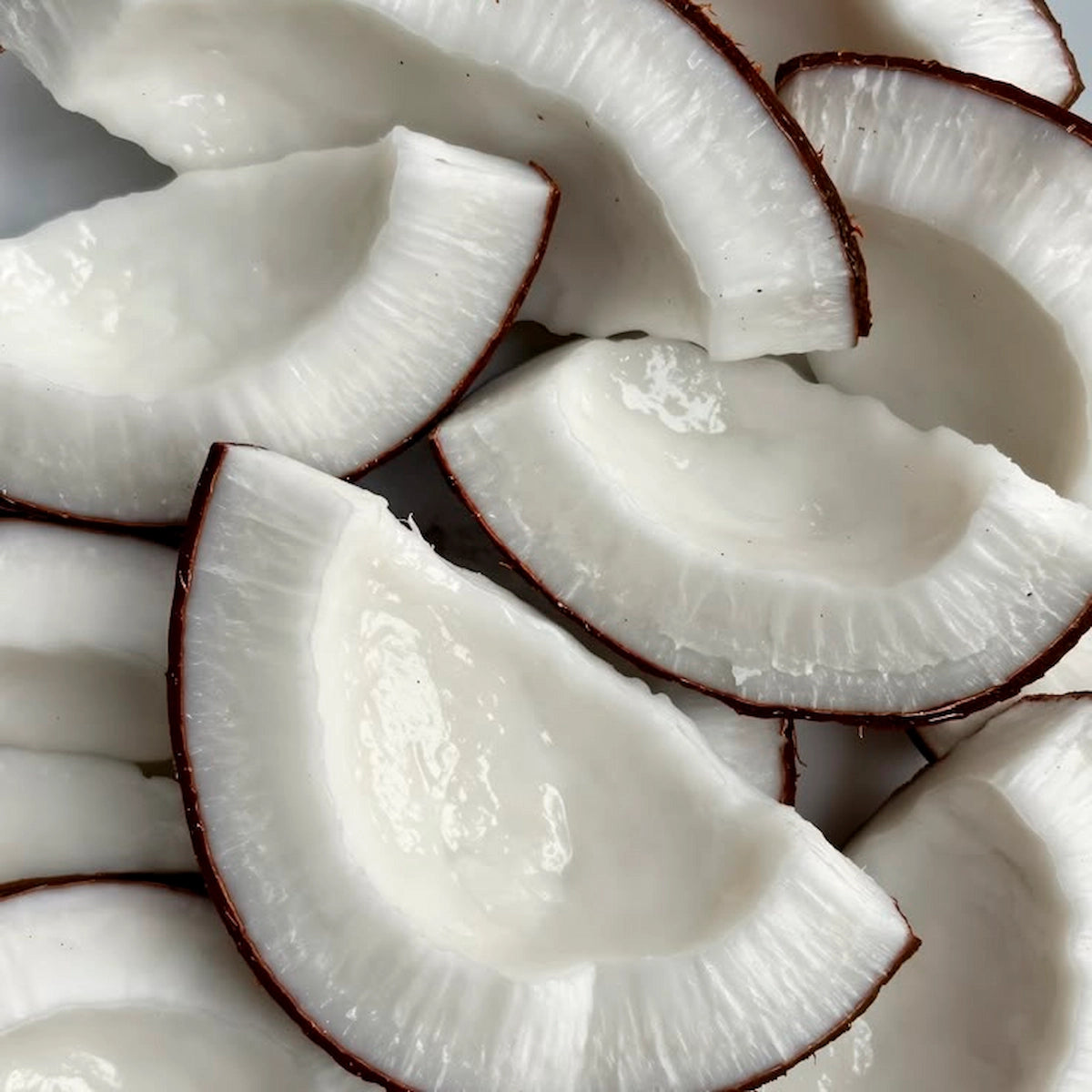 10 in 1 Coconut Treatment